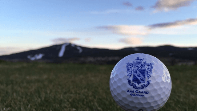 Hovedbilde for referansen