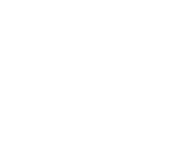 DI Systemer